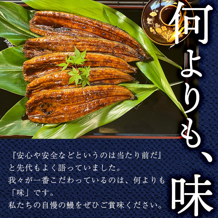 ããªãã®æ³æŸ€ æµæ°Žæ¡ããªãã®è²çŒã èš5å°ŸïŒèš600gïŒ a9-040