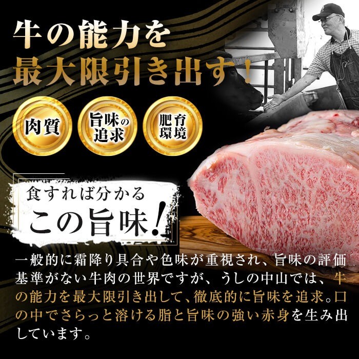 【定期便全3回】＜A4・A5等級＞鹿児島県産黒毛和牛100%使用 極上手ごねハンバーグ 計13.5kg（150g×30個・全3回） 黒毛和牛 和牛 ハンバーグ 冷凍ハンバーグ 牛肉 国産 九州産 ミンチ 小分け A4 A5 日本一 t0120-003