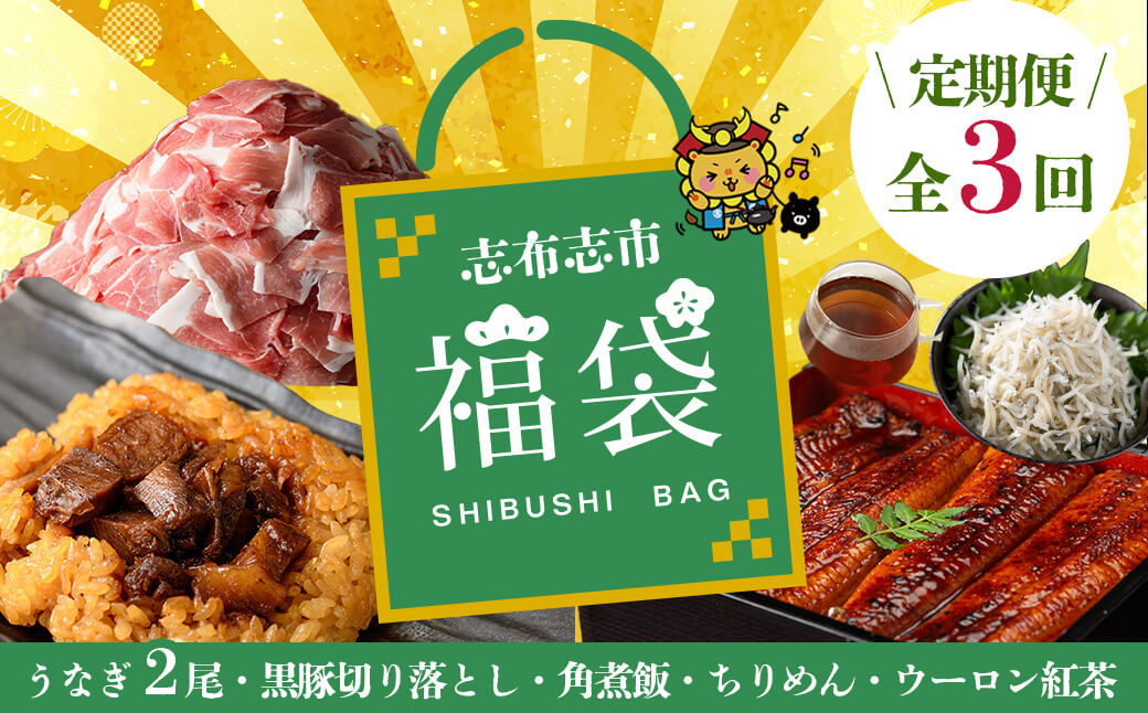 【定期便全３回】志布志市福袋！鰻とおかずいろいろセット(霧島湧水鰻2尾＆釜揚げちりめん＆黒豚ウデ切り落とし＆ウーロン紅茶＆角煮飯) t0084-015