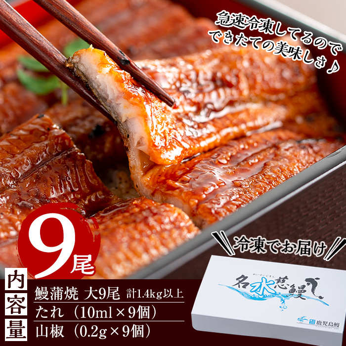 鮖ソ蜈仙ウカ逵檎肇縺縺ェ縺手調辟シ 蜷肴ーエ諷磯ーサ 螟ァ9蟆セ(1蟆セ160g莉・荳)シ懆ィ1.4kg莉・荳奇シ e8-001