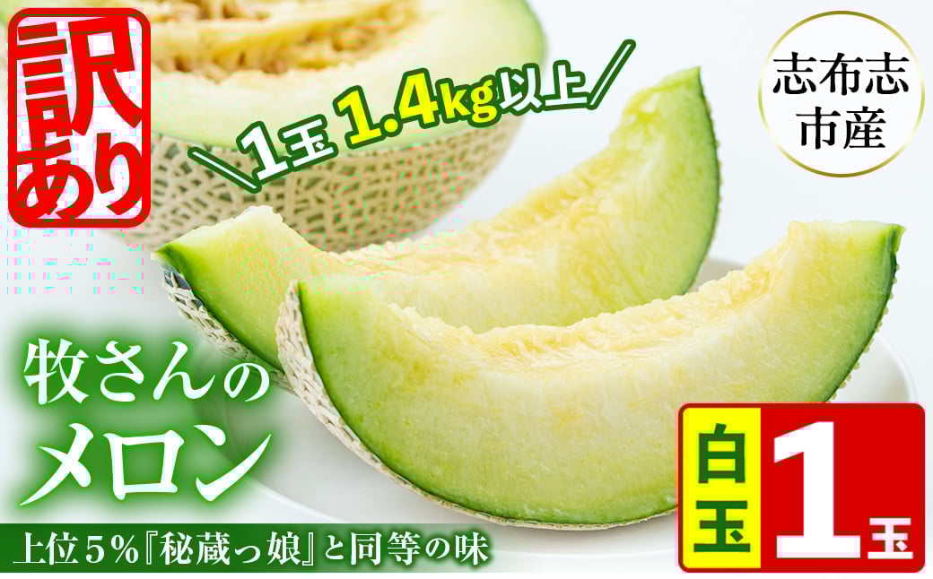 ※未CHK※【春限定・数量限定】牧さんの訳ありメロン 白玉(青肉)1玉 a1-058-s