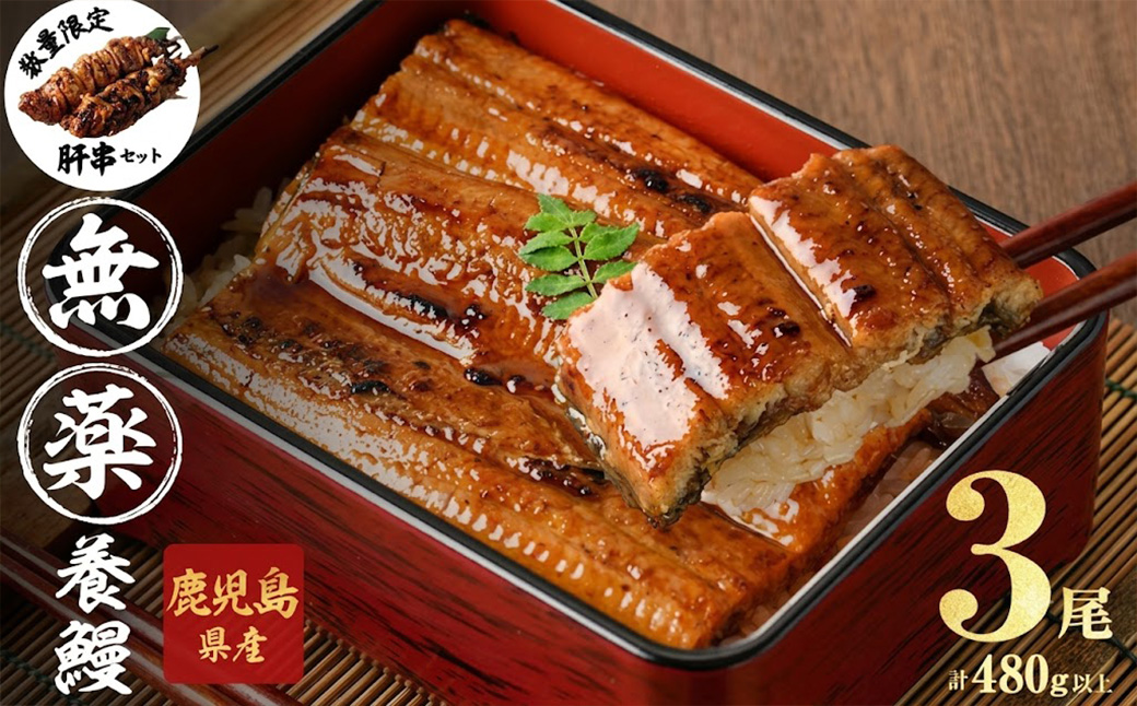 【無薬養鰻】 鹿児島産 山田のうなぎ ＜計480g以上＞（160g以上×3尾） 肝串セット うなぎ 鰻 ウナギ 無薬 養鰻 無投薬 3尾 国産 九州産 蒲焼き かばやき 冷凍 うな重 ひつまぶし タレ 山椒 【ポータル限定】 a6-062-km
