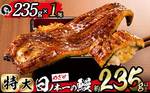 日ノ本一の鰻の蒲焼き＜特大＞1尾(約235g以上) a4-071
