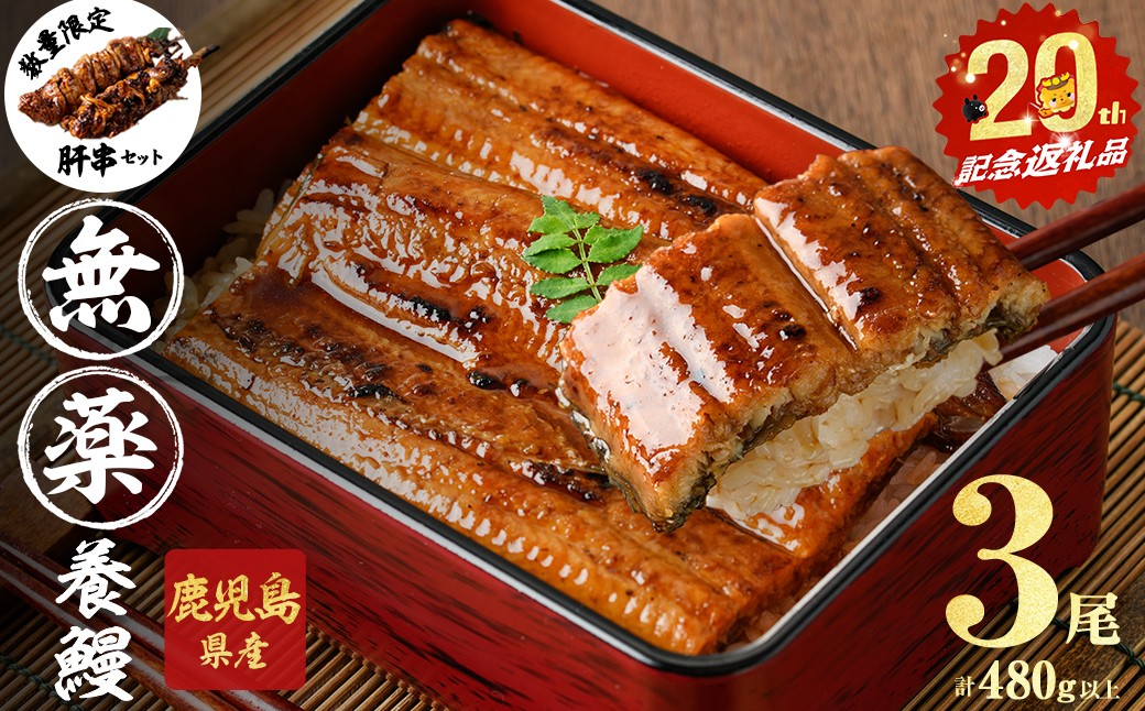 【無薬養鰻】 鹿児島産 山田のうなぎ ＜計480g以上＞（160g以上×3尾） 肝串セット うなぎ 鰻 ウナギ 無薬 養鰻 無投薬 3尾 国産 九州産 蒲焼き かばやき 冷凍 うな重 ひつまぶし タレ 山椒 【ポータル限定】 a6-062-km