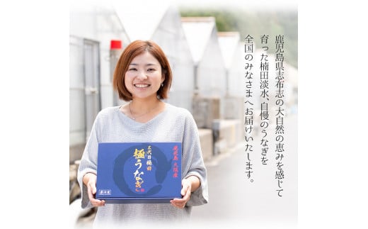 a1-050 楠田の極うなぎ 素焼き焼肝(50g×5袋・たれ付き)