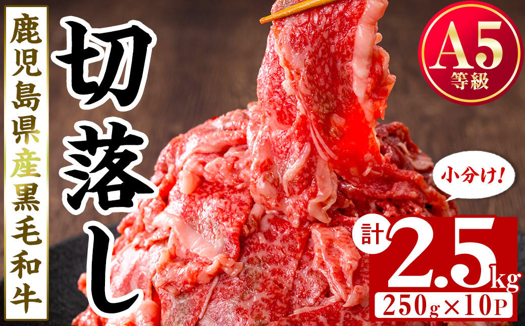 【小分け】＜A5等級＞鹿児島県産黒毛和牛 切り落とし(250g×10P・計2.5kg) c0-121