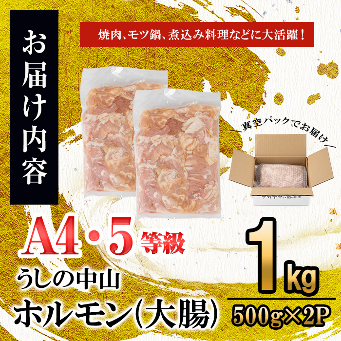 うしの中山 A4・A5等級黒毛和牛 ホルモン（大腸） 計1kg（500g×2袋）a5-347