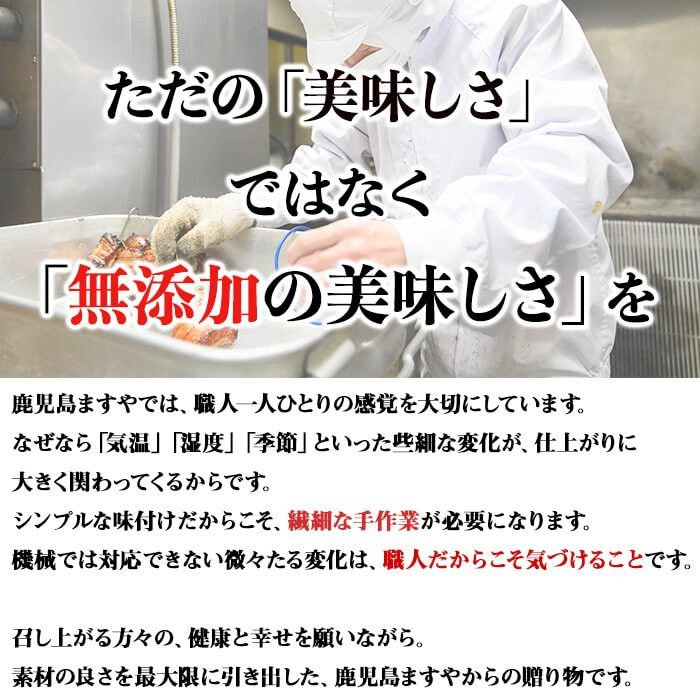 ãç¡æ·»å ããã®ãã察å¿ããçŠå¥åºèŸ²å Žã 鹿å
å³¶é»è±çç«çŒè± (çŽ200ïœÃ2P) a4-084