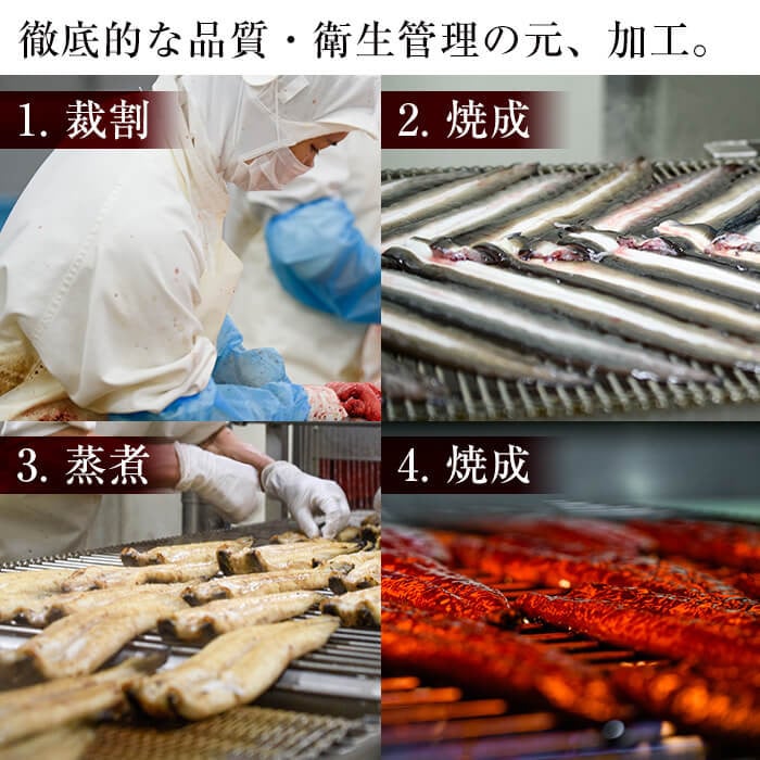 鮖ソ蜈仙ウカ逵檎肇縺縺ェ縺手調辟シ 蜷肴ーエ諷磯ーサ 6蟆セシ懆ィ840g莉・荳奇シ c3-024