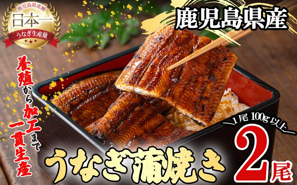 桜林養鰻のうなぎ蒲焼 計200g以上(100g以上×2尾) a3-195