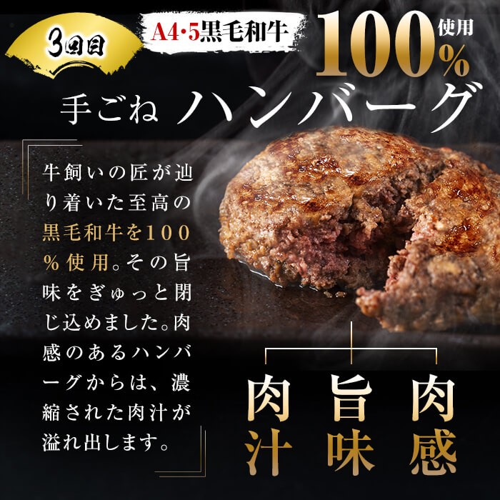 【定期便全6回】＜A4・A5等級＞黒毛和牛堪能〈満足〉定期便（2〜3人分）総重量1.95kg 鹿児島県産 黒毛和牛 和牛 肉 牛肉 国産 九州産 鹿児島県産 焼肉 焼き肉 BBQ A4 A5 赤身 切り落とし カルビ お楽しみ 食べ比べ ハンバーグ ミスジ 霜降り ステーキ 2人前 3人前 t0069-001