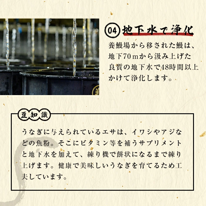 【数量限定】超特大！鹿児島県産 山田水産の霧島湧水鰻(計1400g以上・236g以上×6尾) うなぎ 鰻 ウナギ 6尾 国産 九州産 蒲焼き かばやき 冷凍 うな重 ひつまぶし タレ 山椒 ランキング 人気 c5-039-yy
