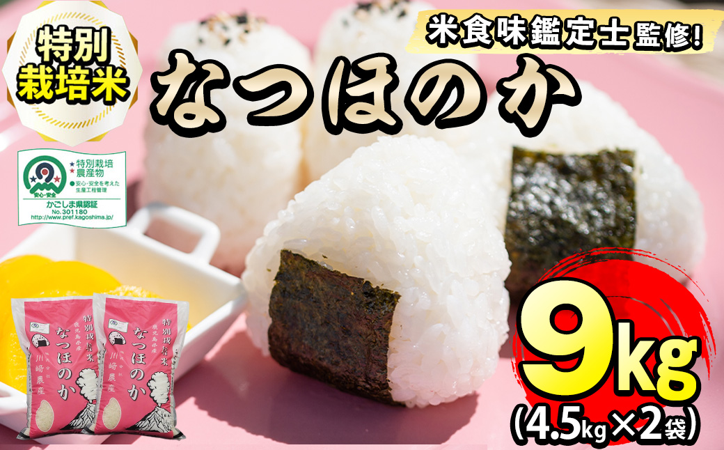特別栽培米！川崎さん自慢のなつほのか 白米 (4.5kg×2袋・計9kg)  計9kg(4.5kg×2袋) b0-221