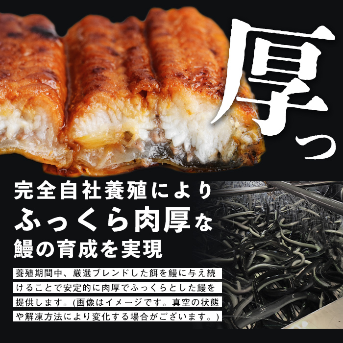 縲仙ソ怜ク蠢怜クょ宛20蜻ィ蟷エ險伜ソオ縲代10蝟カ讌ュ譌・莉・蜀縺ォ逋コ騾√鷹ケソ蜈仙ウカ逵檎肇縺縺ェ縺手調辟シ 蜷肴ーエ諷磯ーサ 2蟆セシ1蟆セ縺ゅ◆繧140ス210g繝サ險350g莉・荳奇シ峨≧縺ェ縺 魏サ 繧ヲ繝翫ぐ 2蟆セ 蝗ス逕」 闥イ辟シ 縺九ー繧縺 蜀キ蜃 逵溽ゥコ 逵溽ゥコ繝代ャ繧ッ 辟。鬆ュ 縺縺ェ驥 縺イ縺、縺セ縺カ縺 繧ソ繝ャ 螻ア讀 a3-236