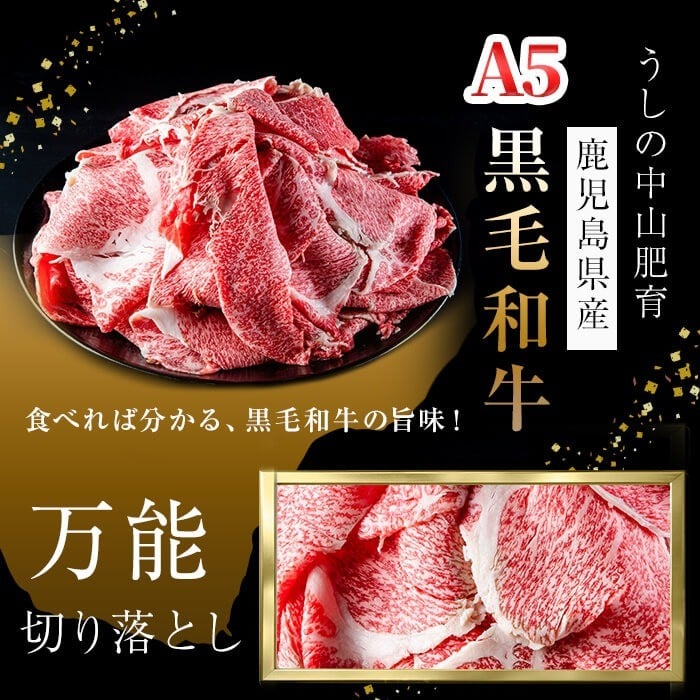 【定期便全6回】＜A4・A5等級＞黒毛和牛万能切り落とし肉 計2.4kg(400g×1P・全6回) 黒毛和牛 和牛 切り落とし 肉 牛肉 国産 九州産 鹿児島県産 すき焼き しゃぶしゃぶ 牛丼 小分け A5 日本一 ランキング 人気 定期便 t0072-005?