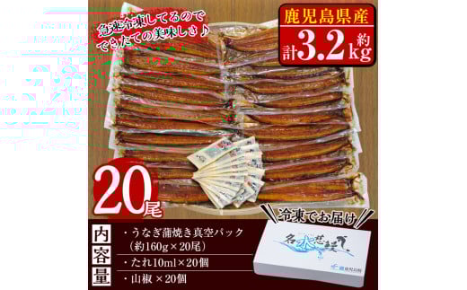 鮖ソ蜈仙ウカ逵檎肇縺縺ェ縺手調辟シ 蜷肴ーエ諷磯ーサ 20蟆セ(1蟆セ邏160g)シ懆ィ育エ3.2kgシ wa4-001