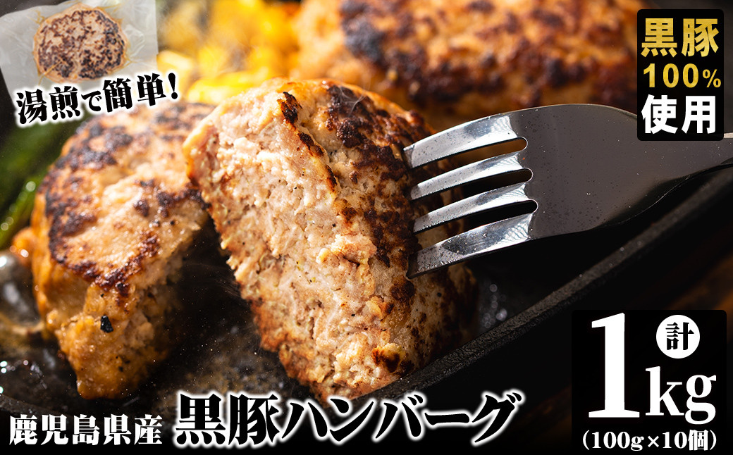 鹿児島県黒豚 100%使用 黒豚ハンバーグ(計1kg・100g×10個) a1-092
