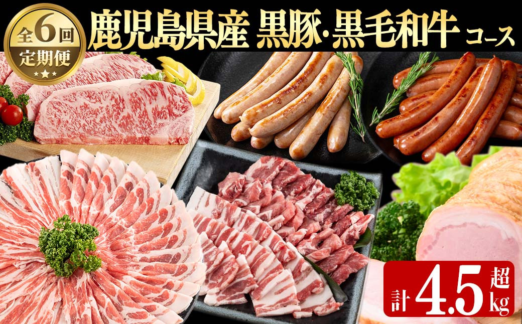 【定期便・全6回】鹿児島県産黒豚・黒毛和牛満喫コース！ 総量4.5kg超! t0088-002