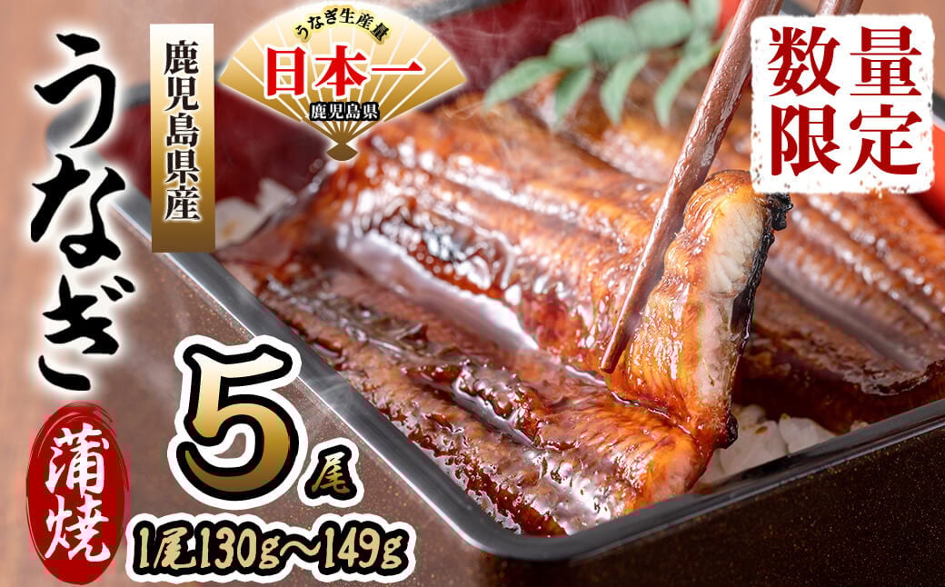 鹿児島県産 伊崎田のうなぎ蒲焼 ＜130g以上＞× 5尾(計650g以上) b8-033