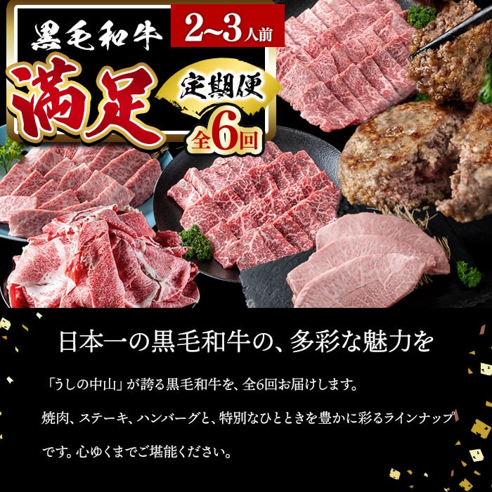 【定期便全6回】＜A4・A5等級＞黒毛和牛堪能〈満足〉定期便（2〜3人分）総重量1.95kg 鹿児島県産 黒毛和牛 和牛 肉 牛肉 国産 九州産 鹿児島県産 焼肉 焼き肉 BBQ A4 A5 赤身 切り落とし カルビ お楽しみ 食べ比べ ハンバーグ ミスジ 霜降り ステーキ 2人前 3人前 t0069-001