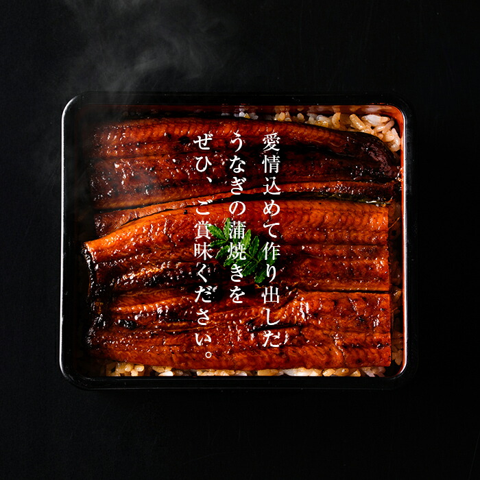 【志布志市人気No.1お礼の品】霧島湧水鰻の蒲焼き 1尾 ＜156g以上×1尾＞ p58-001