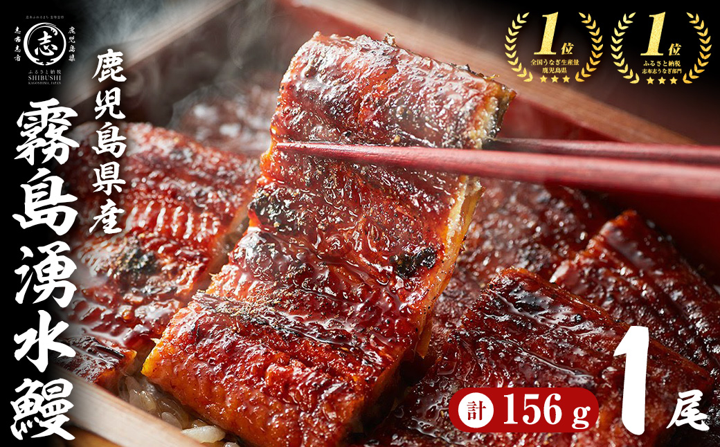 【志布志市人気No.1お礼の品】霧島湧水鰻の蒲焼き 1尾 ＜156g以上×1尾＞ p58-001