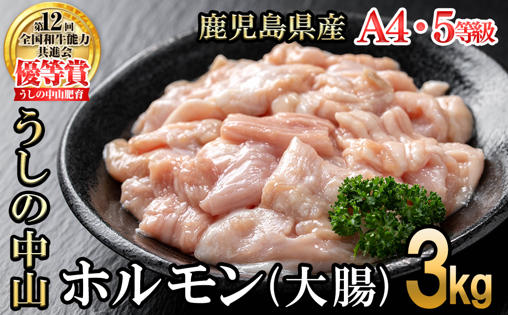 うしの中山 A4・A5等級黒毛和牛 ホルモン（大腸） 計3kg（500g×6袋）c0-135