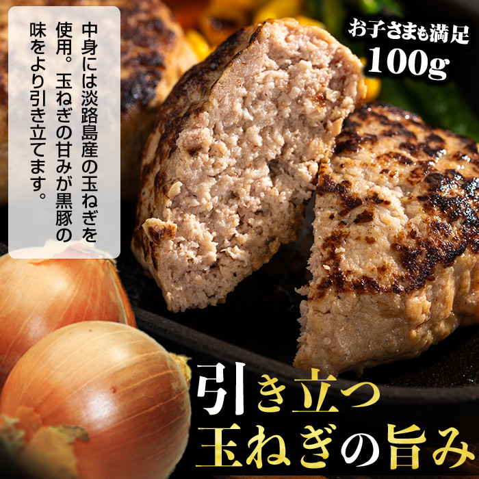 鹿児島県黒豚 100%使用 黒豚ハンバーグ(計1kg・100g×10個) a1-092