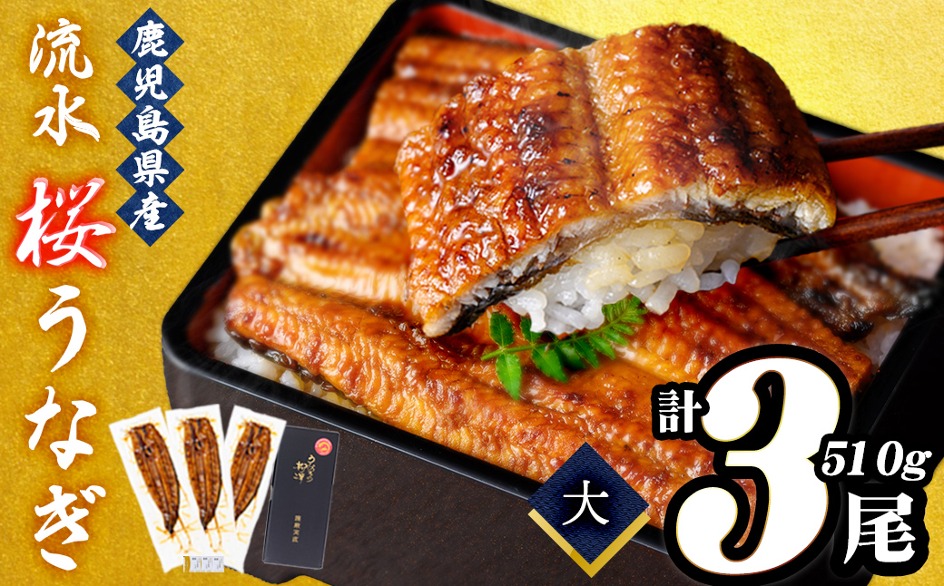 熟練の技が冴える！うなぎの柳澤 流水桜うなぎの蒲焼き3尾(計510g) b2-016