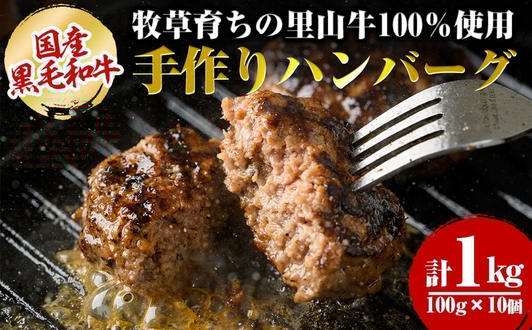 国産黒毛和牛 牧草育ちの里山牛100%使用！手作りハンバーグ 1kg (100g×10個） a5-276