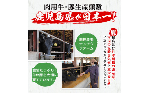 ïŒå®æäŸ¿ã»å
š3åïŒé¹¿å
å³¶çç£ é»æ¯åçã»é»è±ãå ªèœã§ããå®æäŸ¿(åèš2.6kg) t0072-002