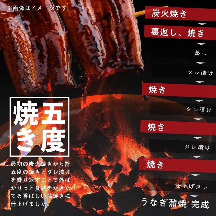 【志布志市制20周年記念】【10営業日以内に発送】【数量限定】鹿児島県産うなぎ蒲焼 名水慈鰻 超特上 2尾(1尾あたり236~270g)＜計500g以上＞ うなぎ 鰻 ウナギ 2尾 国産 蒲焼 かばやき 冷凍 真空 真空パック 無頭 うな重 ひつまぶし タレ 山椒 a5-352