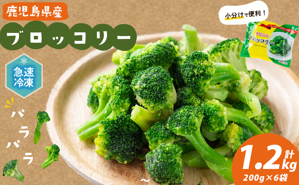 鹿児島県産 冷凍ブロッコリー(計1.2kg) ブロッコリー 野菜 冷凍 カット カット野菜 国産 簡単 手軽 サラダ 味噌汁 スープ お弁当 a0-388
