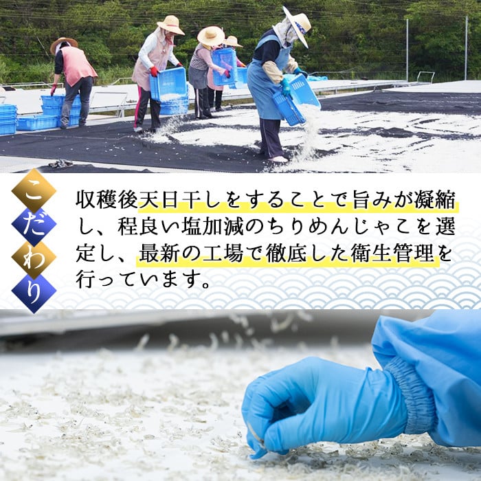 a5-304 ã¡ãããå³ãã®ã¿ã»ãã