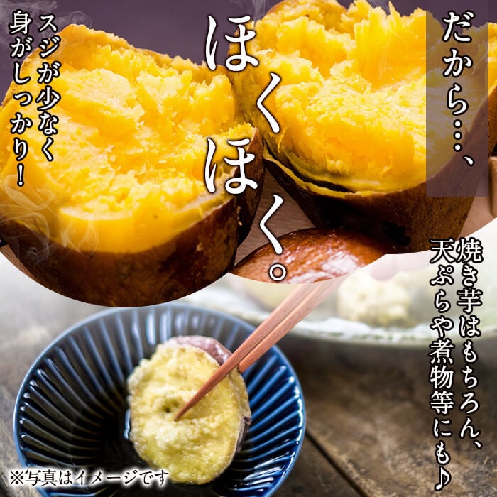 é«ç³»14å·ïŒãã¯ãã¯ãã€ãŸãã(ããã¯ã¹ãµã€ãº5kgÃ2ç®±ã»èš10kg) a5-005