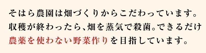 【数量限定・訳あり】志布志湾ほうれん草(計2kg 200g×10袋) サラダ おひたし お味噌汁 スムージー ほうれん草 ジュース ほうれんそう a2-081