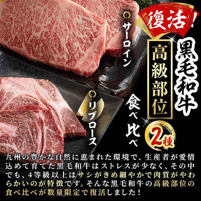 黒毛和牛ステーキ肉高級部位2種＜リブロース・サーロイン＞食べ比べ(計900g) b8-045