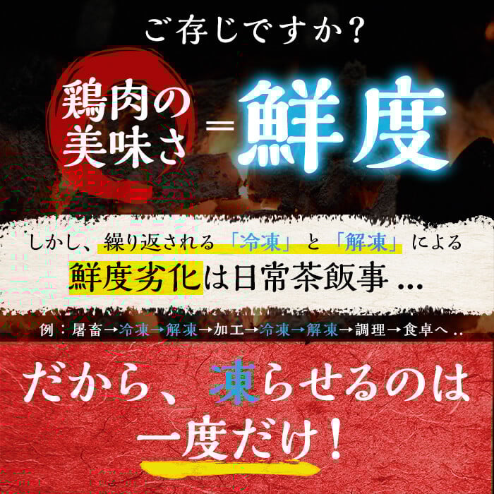 鮮床ã«ãã ãã£ãåœç£ãããšããã©ãšãã£ã»ããã¹ãã·ã£ã«èš40æ¬(5çš®Ãå8æ¬) a3-196