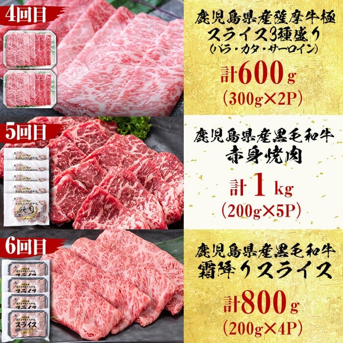 【定期便・全12回】＜A5等級＞鹿児島県産黒毛和牛＆国産牛タン プレミアム！牛肉満喫コース＜計12kg超＞ t026-001