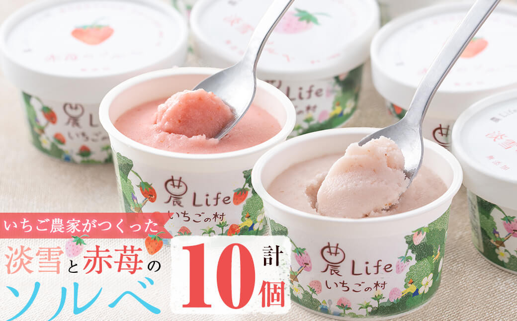 a5-218 いちご農家がつくった淡雪と赤苺のソルベ 計10個(2種・各5個入)