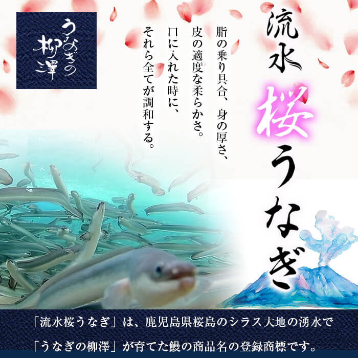 ããªãã®æ³æŸ€ æµæ°Žæ¡ããªãã®è²çŒã èš5å°ŸïŒèš600gïŒ a9-040