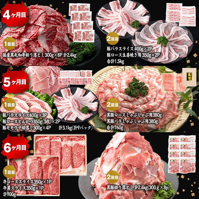 【定期便11ヶ月】ししまる定期便S(11ヶ月連続 月1〜2回お届け！・計44.06kg) 黒毛和牛 黒豚 国産牛 九州産 豚 豚肉 肉 牛肉 国産 4等級 小分け 真空包装 冷凍 t0383-001