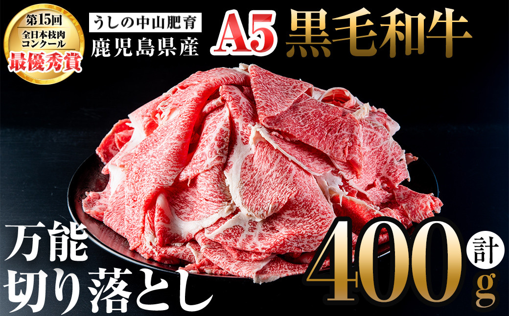 ＜A5等級＞鹿児島県産 黒毛和牛万能切り落とし(計400g /400g×1P) a0-360
