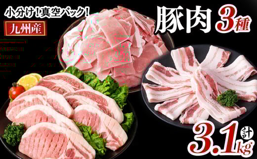 小分け・真空パック!九州産豚肉3種(計3.1kg) a5-319