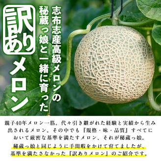 【訳あり・数量限定】牧さんの訳ありメロン 白玉(青肉)計2玉 メロン マスクメロン 果物 くだもの デザート 青肉 訳あり b0-106