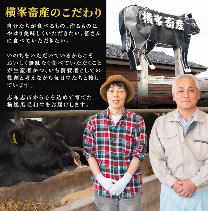 鹿児島県志布志市産横峯黒毛和牛のサーロインステーキ計500g(250g×2枚) 鹿児島県産 国産 牛肉 牛 焼き肉 希少牛 サーロイン ステーキ バーベキュー BBQ d0-030