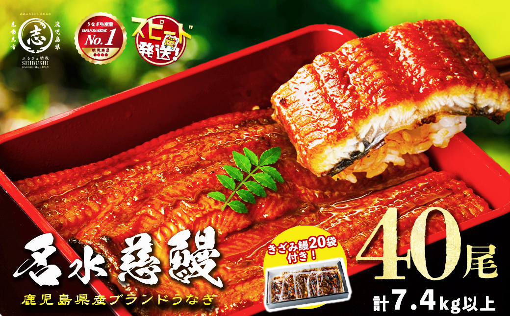 鹿児島県産うなぎ蒲焼 名水慈鰻 40尾(1尾約160g)+きざみ鰻20袋(1袋約50g)＜合計約7.4kg＞ wb82-001