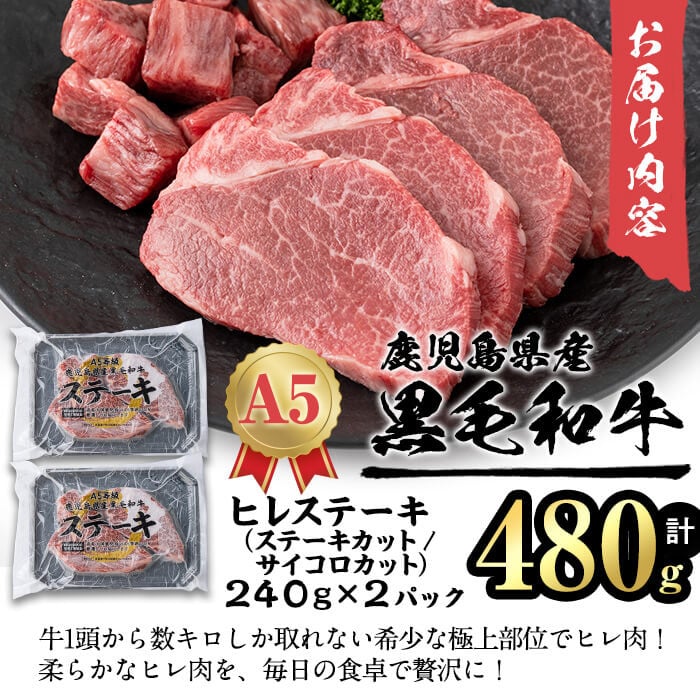 【小分け】＜A5等級＞鹿児島県産黒毛和牛 ヒレステーキ2種盛(240g×2パック/計480g) b6-023