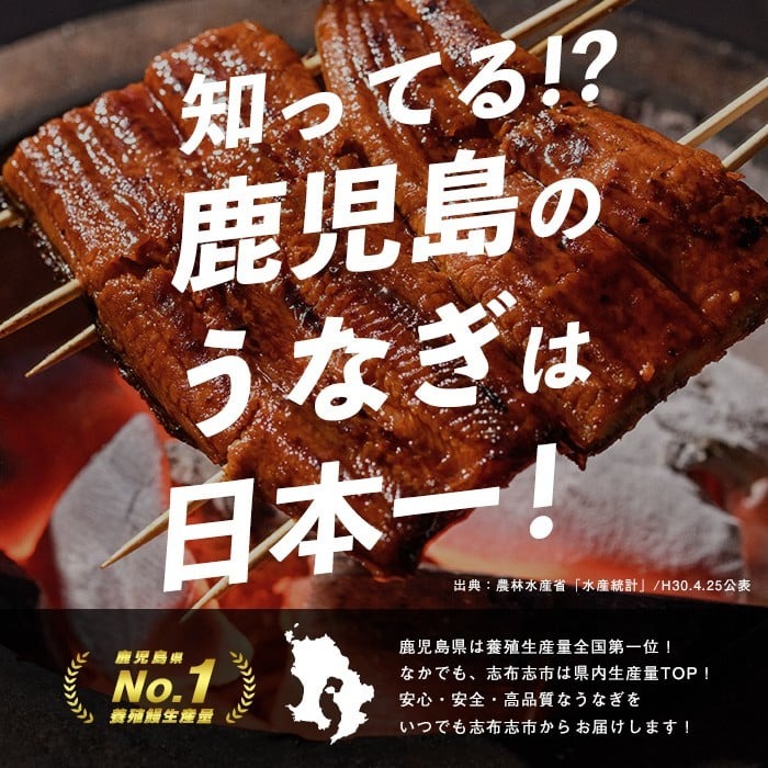 【志布志市制20周年記念】【10営業日以内に発送】【数量限定】鹿児島県産うなぎ蒲焼 名水慈鰻 超特上 2尾(1尾あたり236~270g)＜計500g以上＞ うなぎ 鰻 ウナギ 2尾 国産 蒲焼 かばやき 冷凍 真空 真空パック 無頭 うな重 ひつまぶし タレ 山椒 a5-352