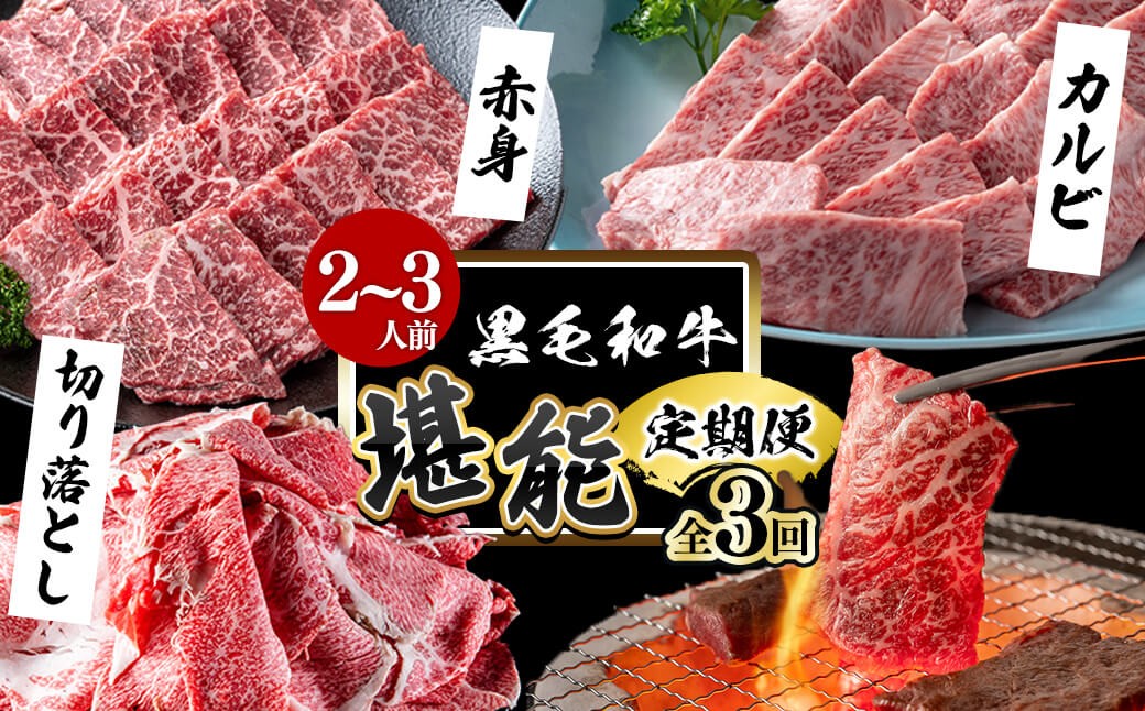 【定期便全3回】＜A4・A5等級＞黒毛和牛堪能〈お試し〉定期便（2〜3人分）総重量900g t0035-002